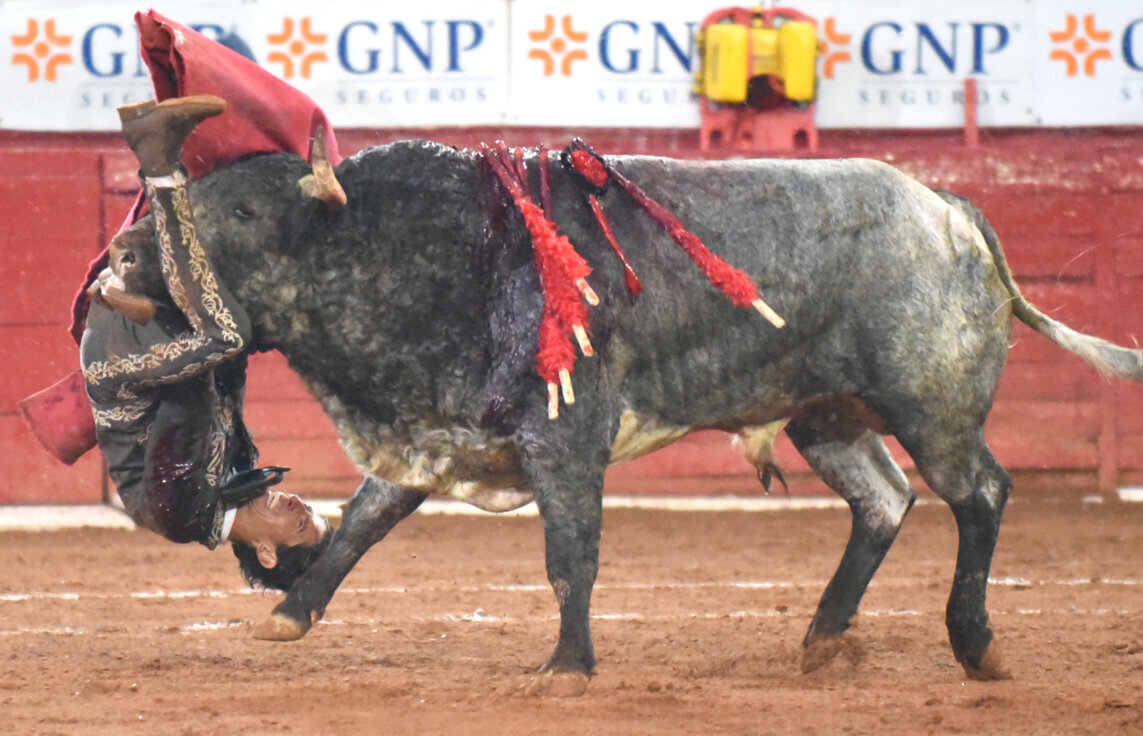 Pepe Murillo, cornada de tres trayectorias en la Plaza México