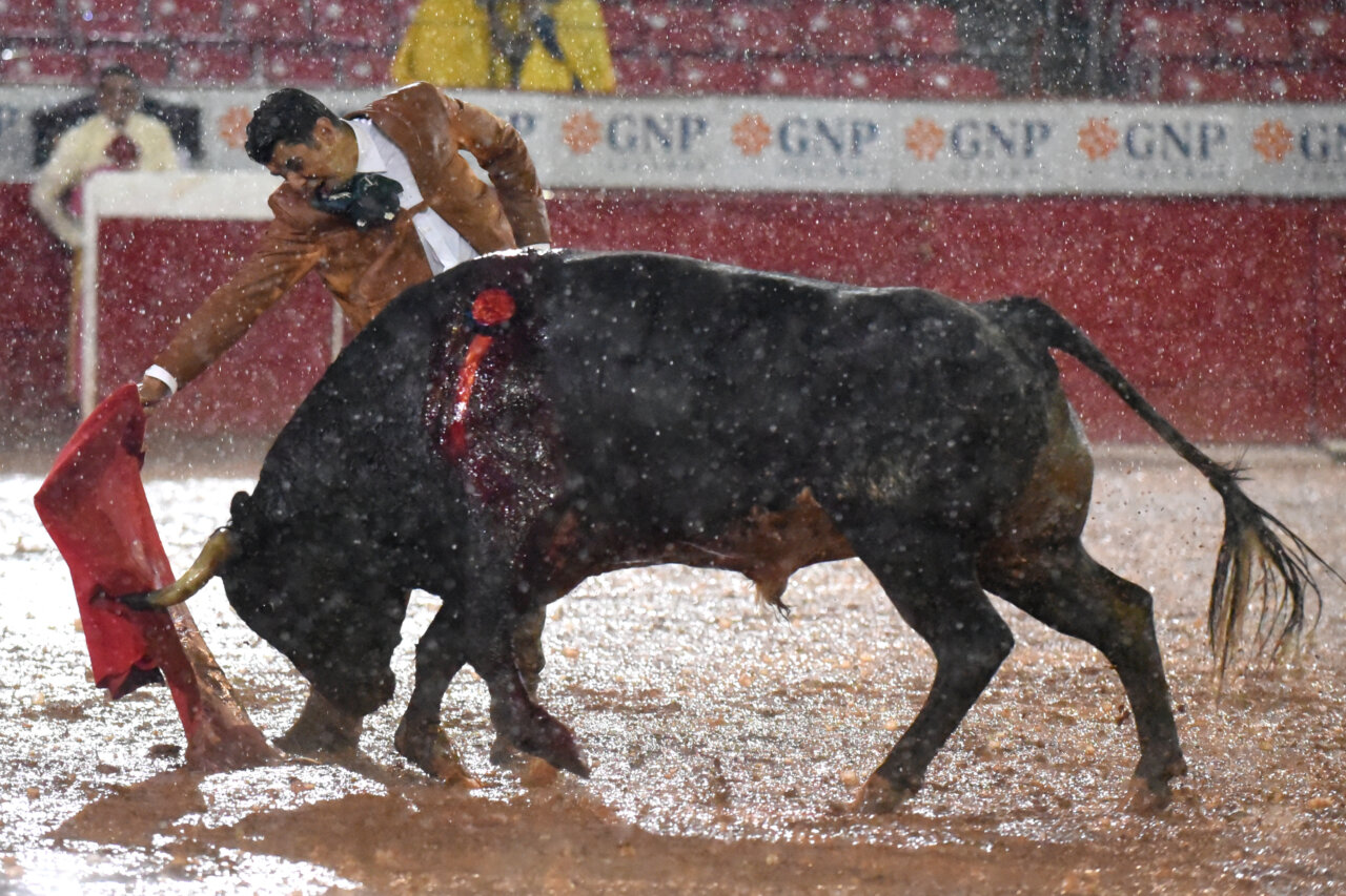 Accidentado festejo en la Plaza México: suspendido a la muerte del cuarto