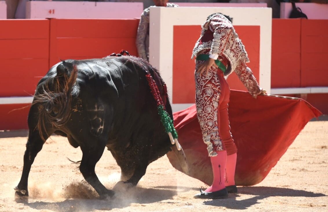 La terna, por encima de una pobre novillada en Nimes