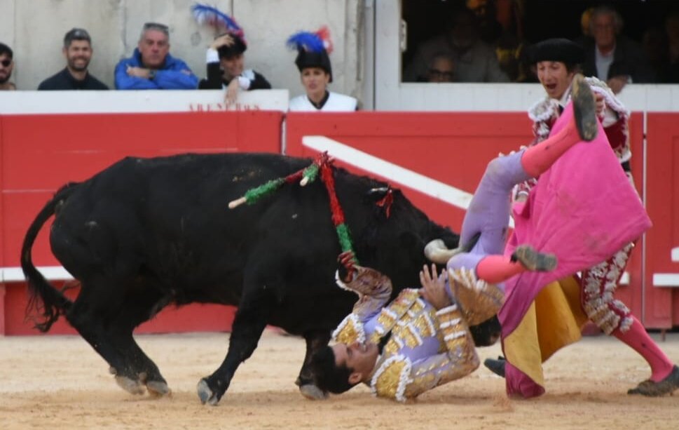 Alejandro Talavante, cogido por el quinto de la tarde en Nimes