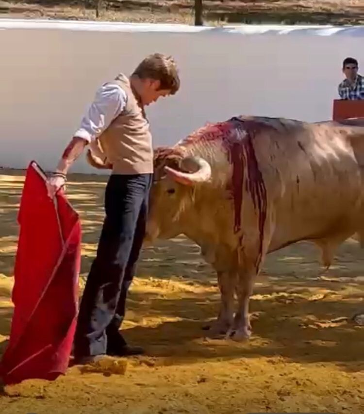 Así en la plaza como en el campo. Borja Jiménez ha estado sensacional con este jabonero en la ganadería de Santiago Domecq, donde ha sufrido la lesión.