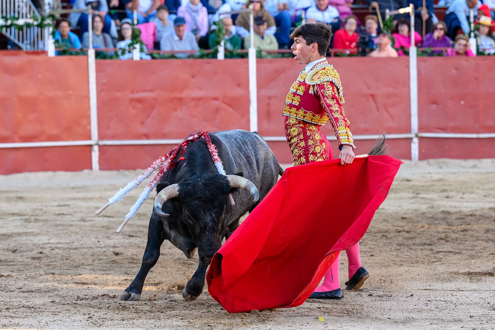 Julio Méndez, ganador del XIII certamen La Piña de Oro de Hoyo de Pinares