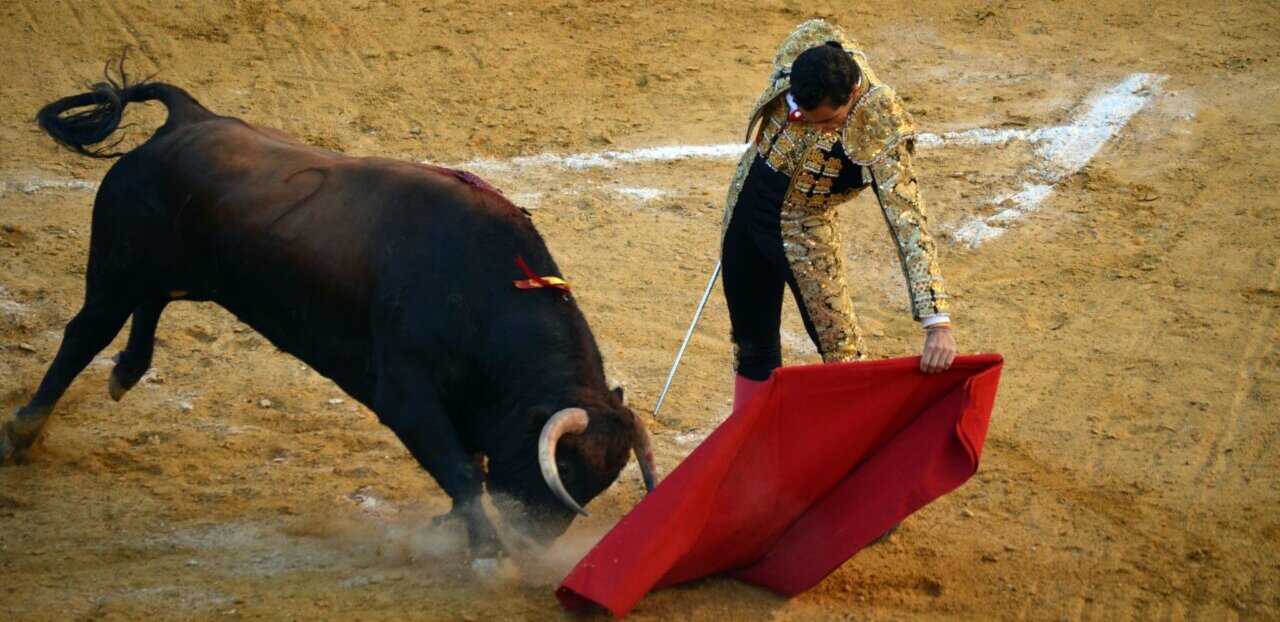 Adrián Centenera y Sebastián Fernández sacan partido en Algemesí