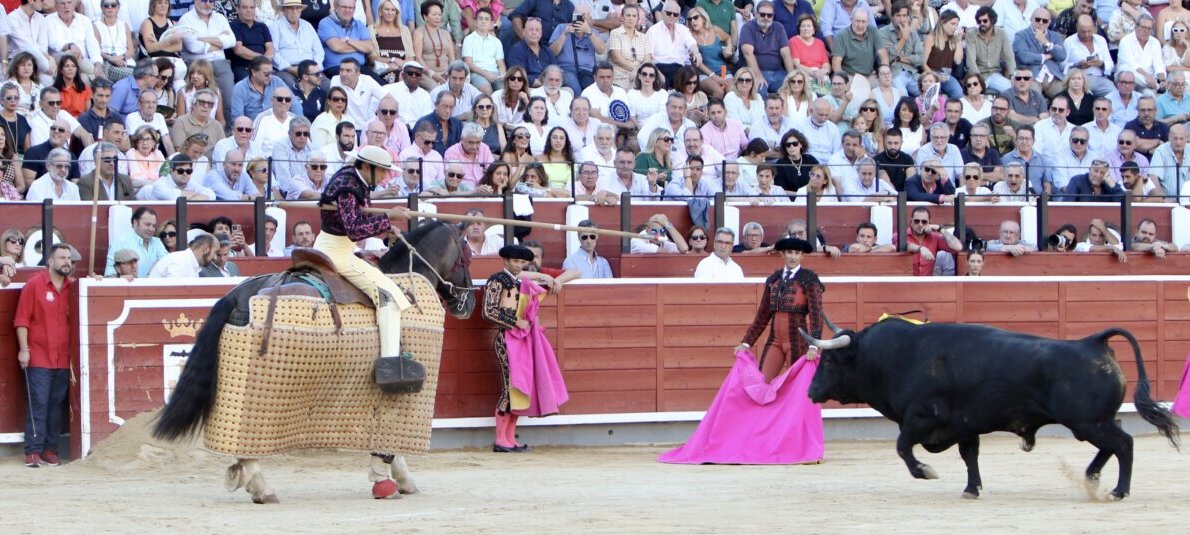 Daniel Ruiz y Santiago Domecq regresan a Albacete