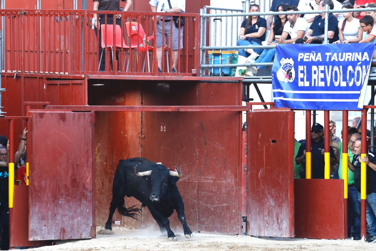 19 ganaderías forman el cartel de los festejos populares de Arganda