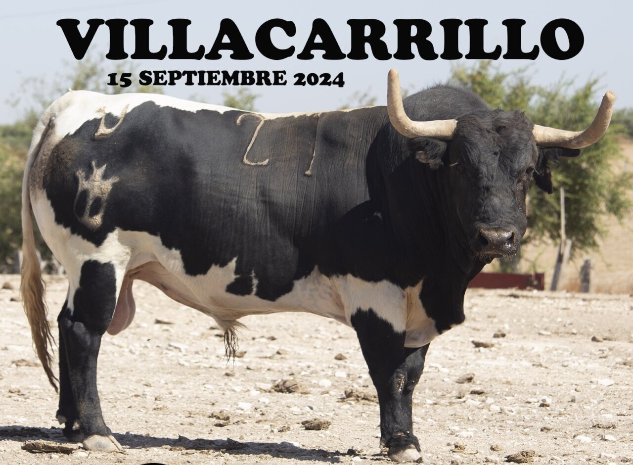 Los toros de Benítez Cubero para la III Corrida Pictórica del Aceite