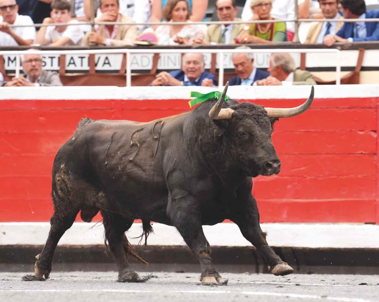 El duro test del agosto taurino