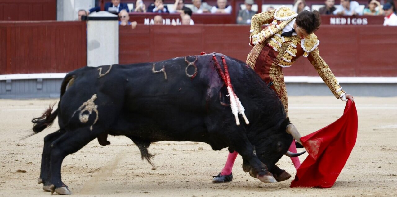 Pasión desatada en el filo de la navaja