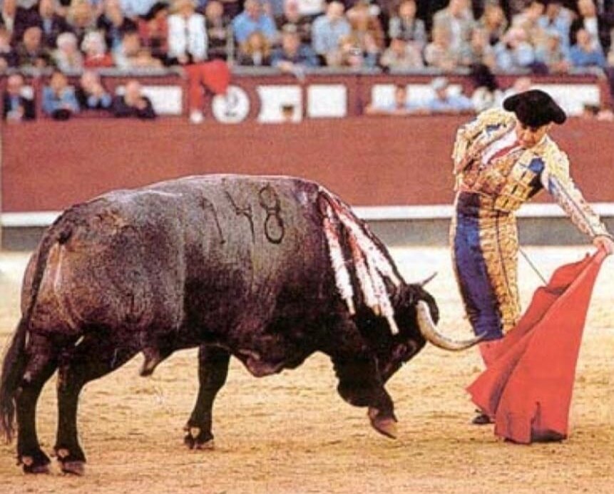 Torerísima faena de Esplá en Las Ventas: dos orejas... y se negó a salir a hombros
