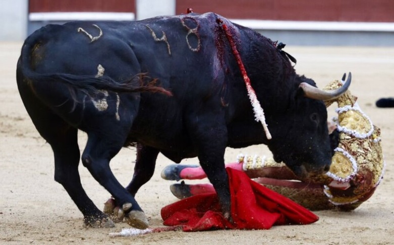 Roca Rey también presenta un "esguince cervical" tras su grave percance en Las Ventas
