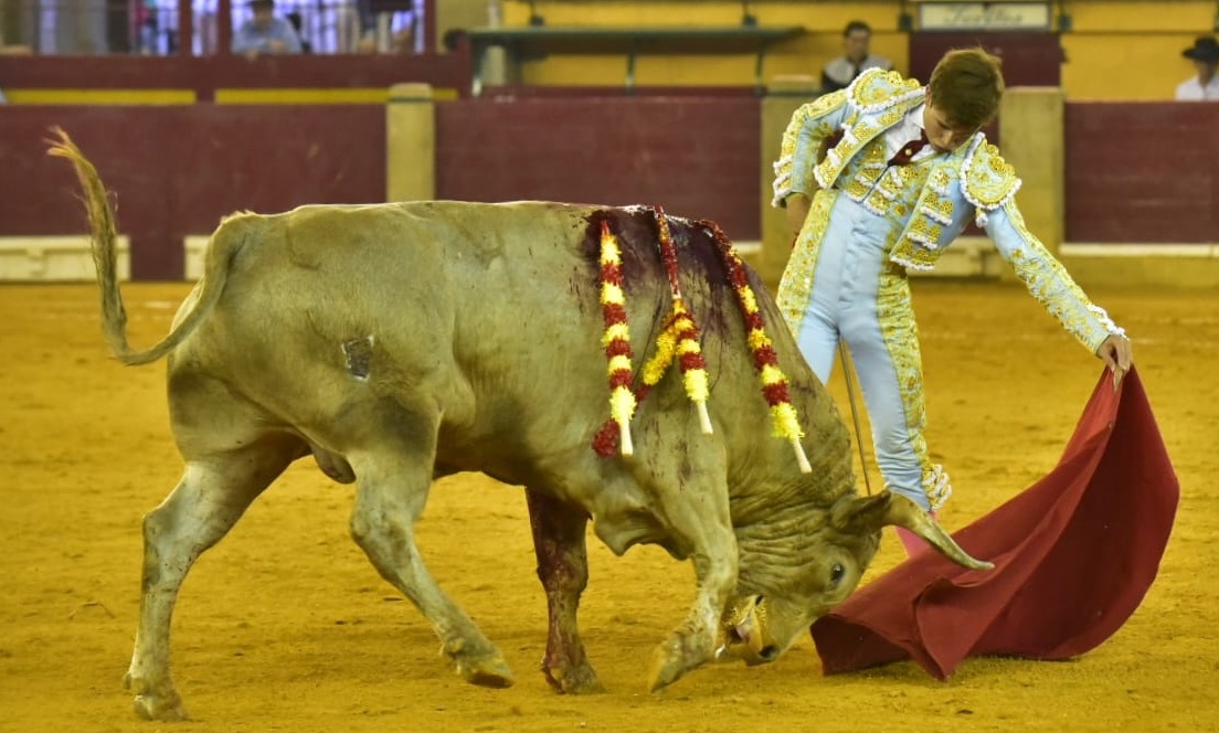 Oreja por coleta en tarde de buen toreo en Zaragoza