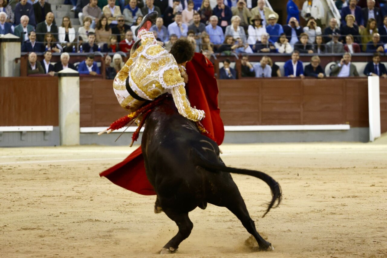 Víctor Hernández: "Herida inciso contusa por asta de toro en región malar"