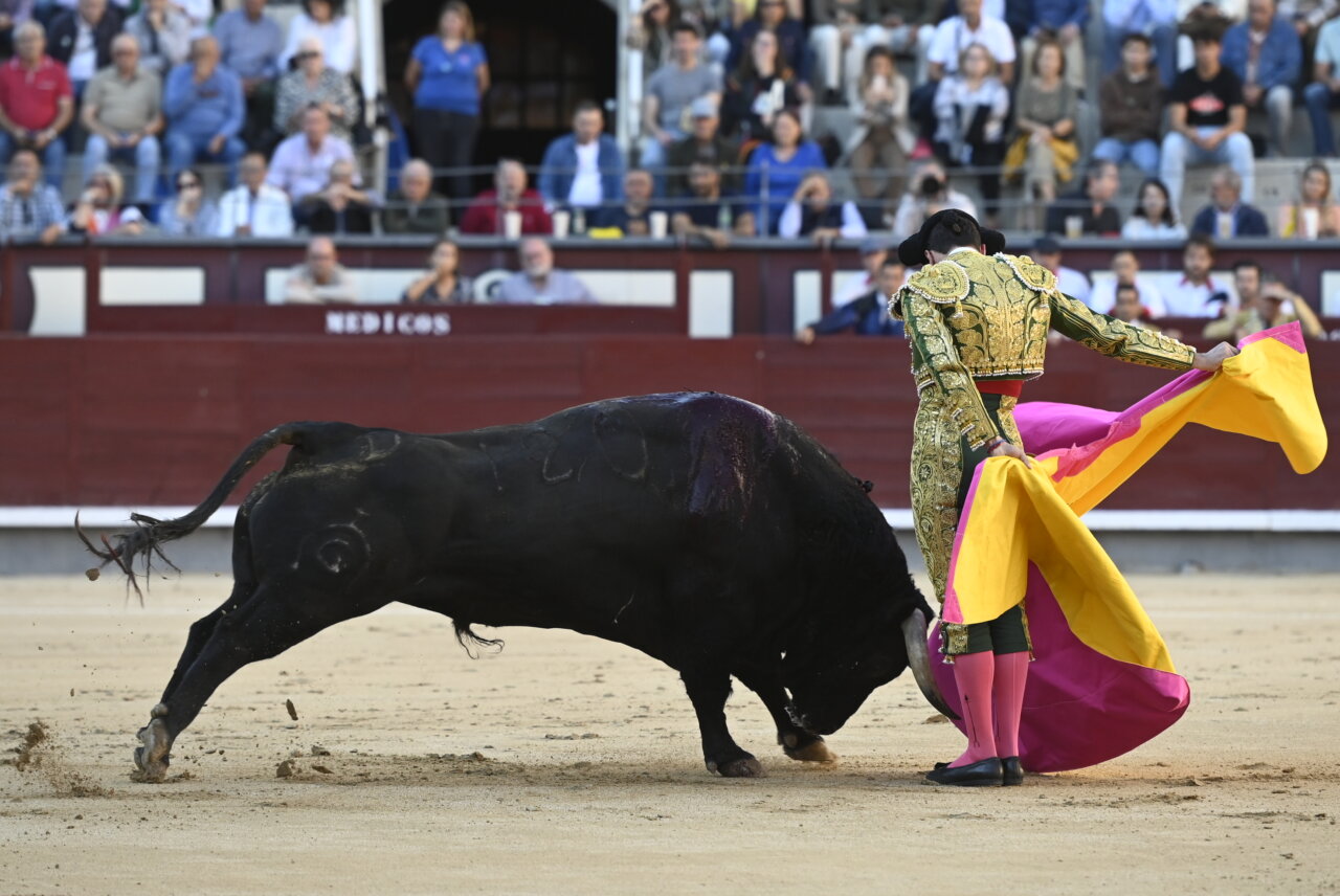 La segunda novillada de la Feria de Otoño, en imágenes
