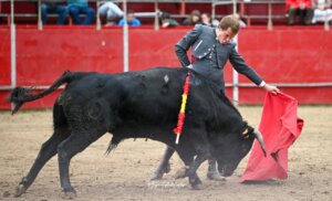 Javier Cortés toreó así al natural en el festival de Canencia.