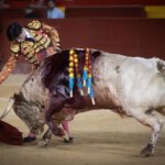 Alberto Donaire, toreando sobre la diestra el domingo en Valencia.