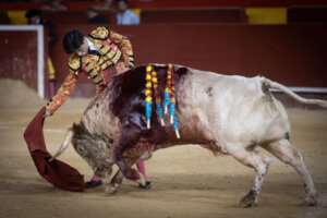 Alberto Donaire, toreando sobre la diestra el domingo en Valencia.