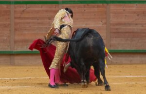 Extraordinario el natural de Aarón Palacio en Arnedo. Foto: Carmelo Betolaza