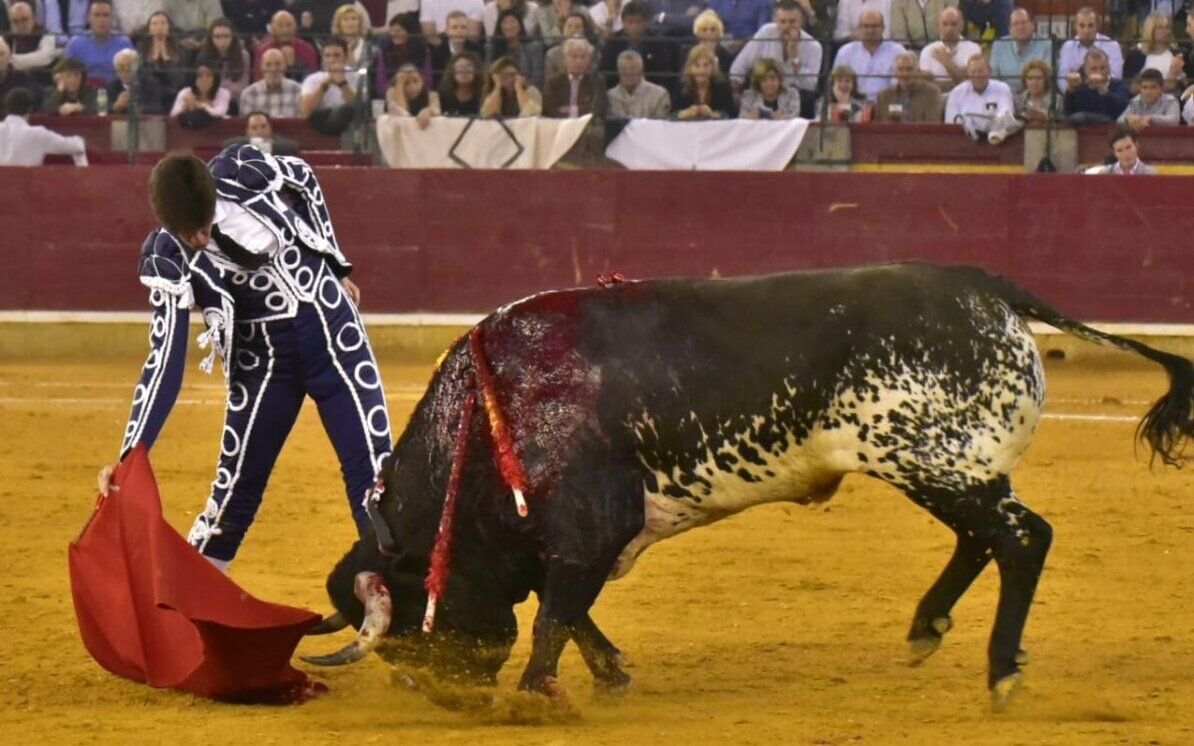 Escribano, Esaú y Colombo, por encima de una decepcionante miurada en Zaragoza