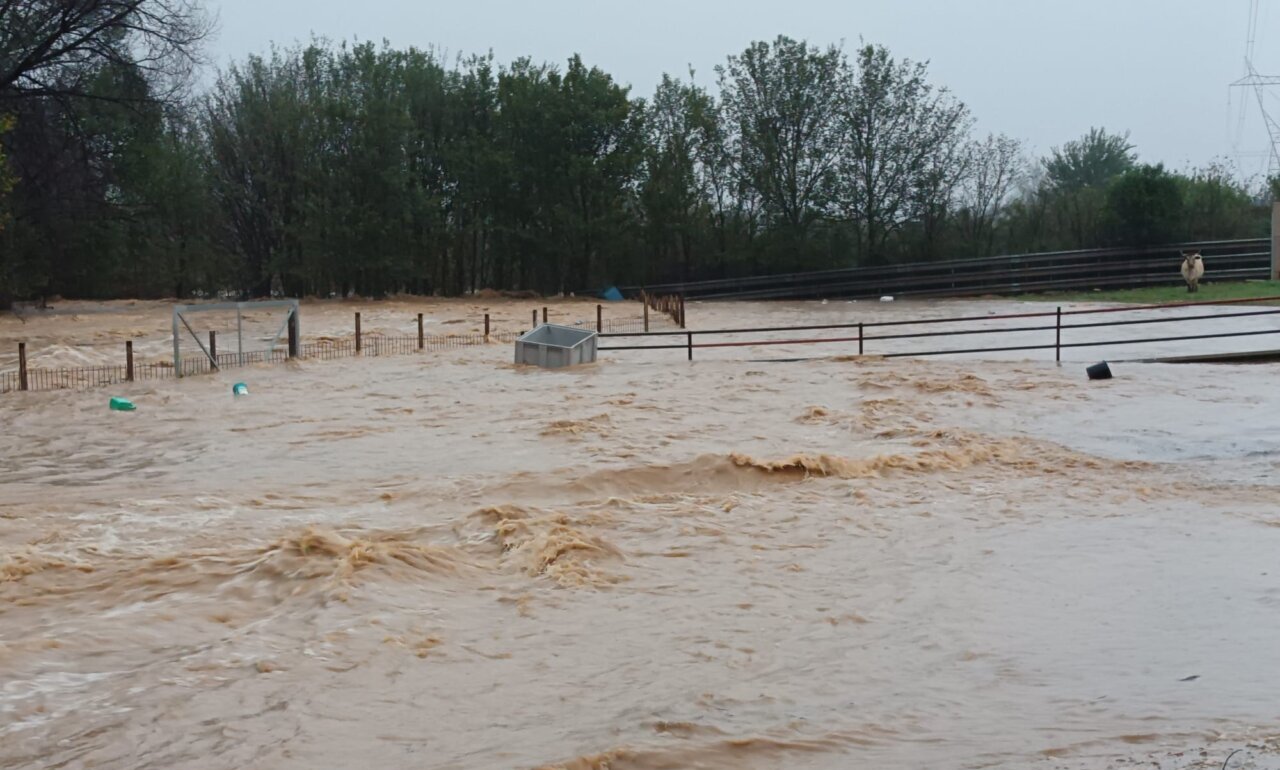 La DANA inunda la ganadería de Pedro Jovani a su paso por Castellón