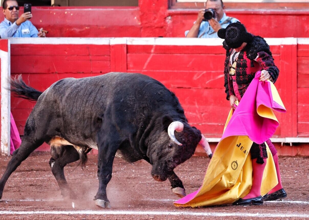 Diego San Román y el capote de Juan Ortega destacan en la primera de Monterrey