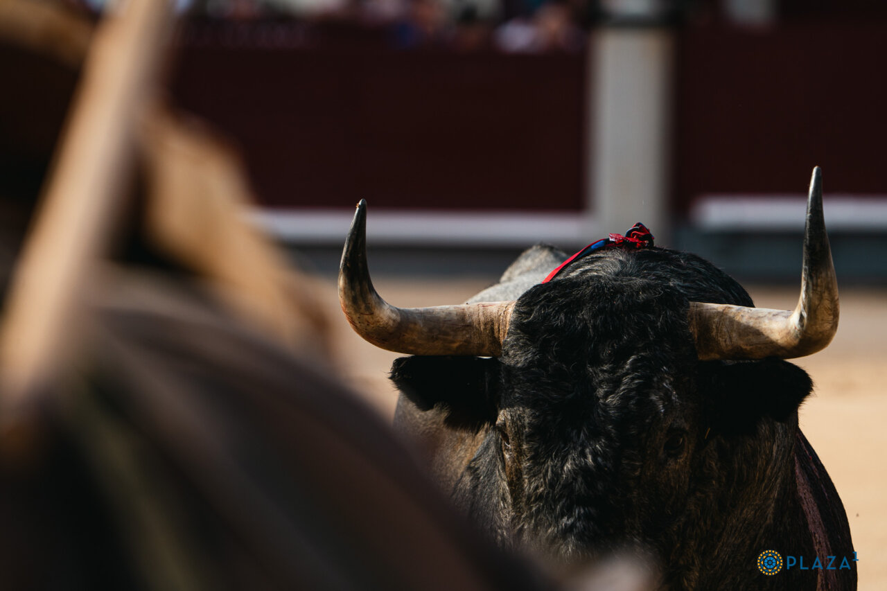 Perera, Emilio de Justo y Victorino, un cierre en Las Ventas por todo lo alto