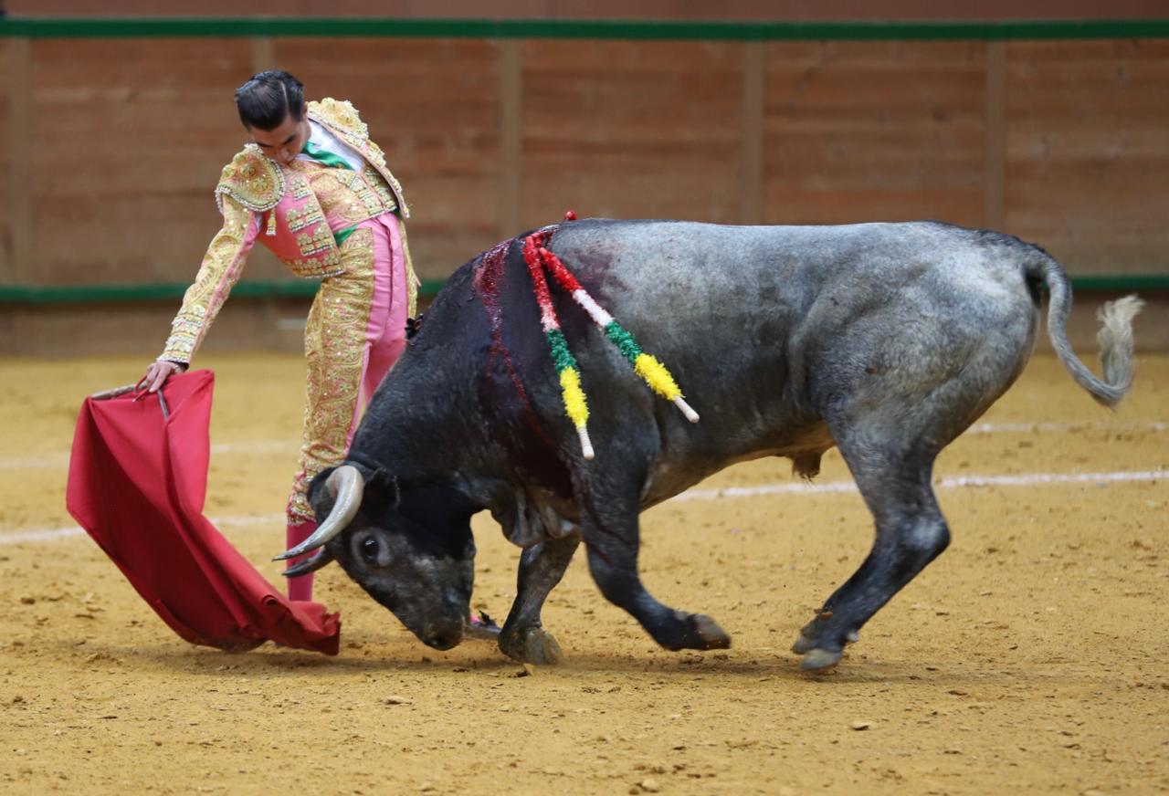 Ovación para Aloi y cornada a Chicharro en la última del Zapato de Oro