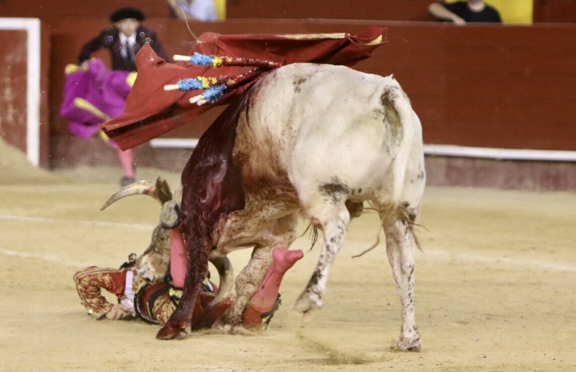 Alberto Donaire, “cornada por empalamiento y desgarro con rotura de esfínteres de ano”
