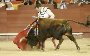 Foto: Antonio Vigueras