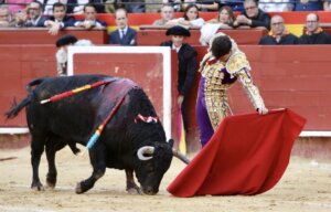 Foto: Antonio Vigueras