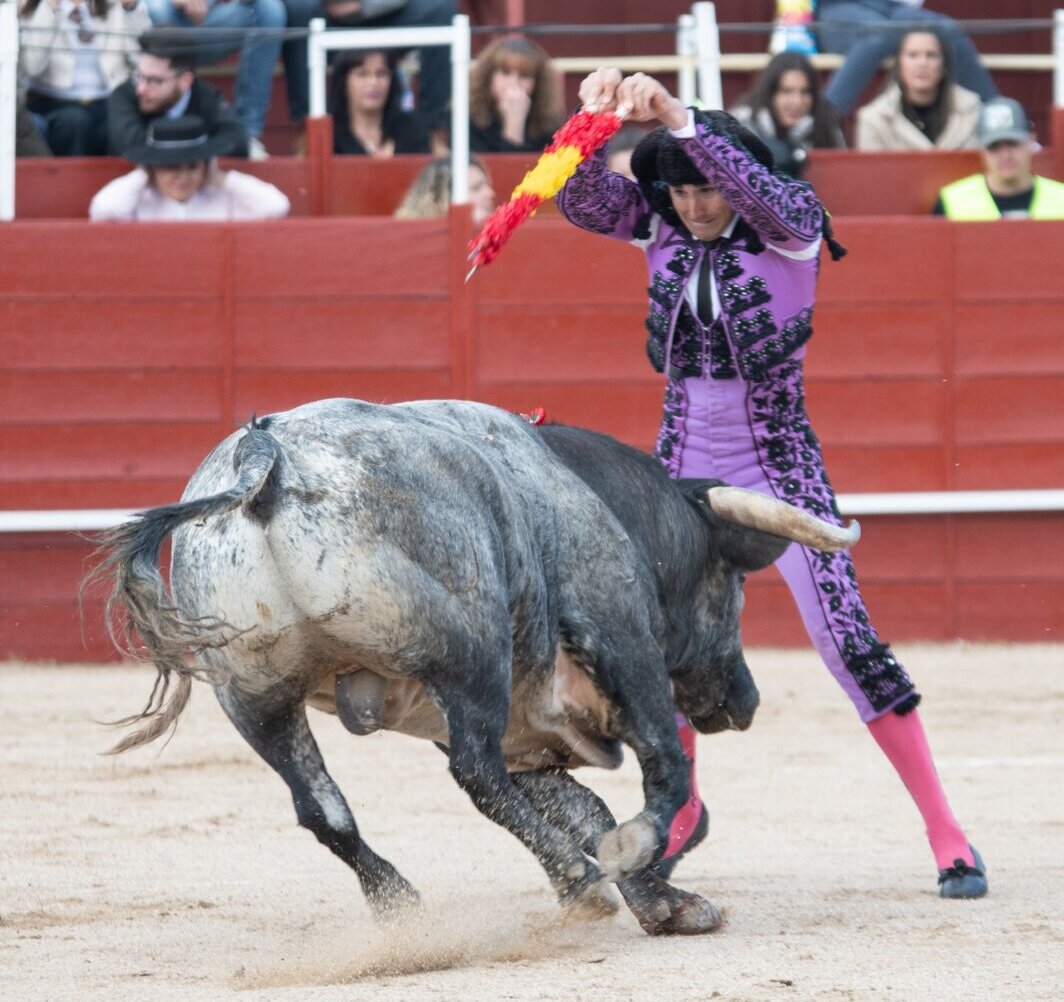 El banderillero Juan Carlos Rey entra en la cuadrilla de David Galván