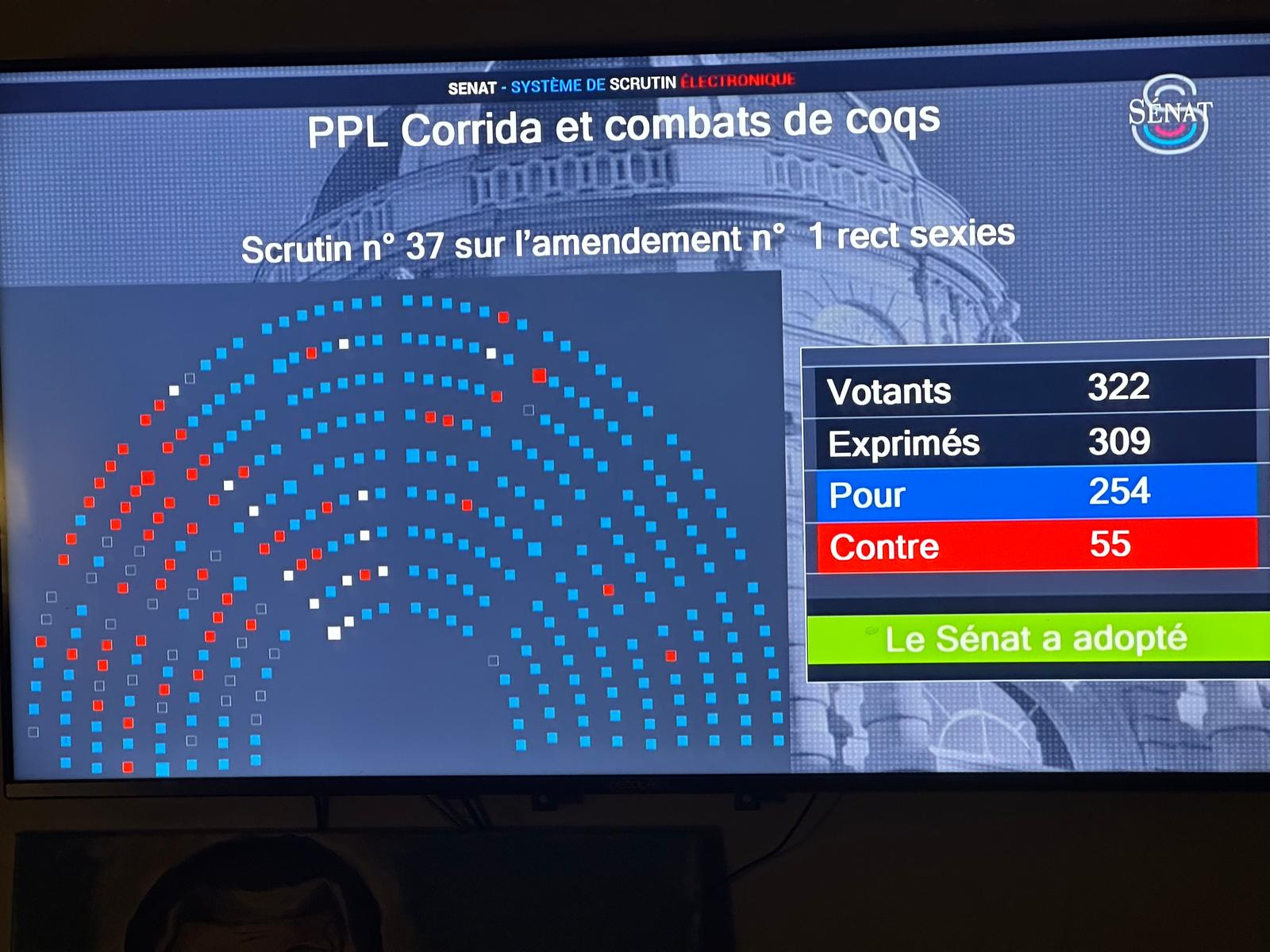 El Senado rechaza por mayoría la propuesta antitaurina y refuerza el estatuto de las corridas en Francia