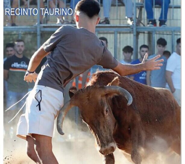 Jornada taurina en Almassora a beneficio de los damnificados por la DANA