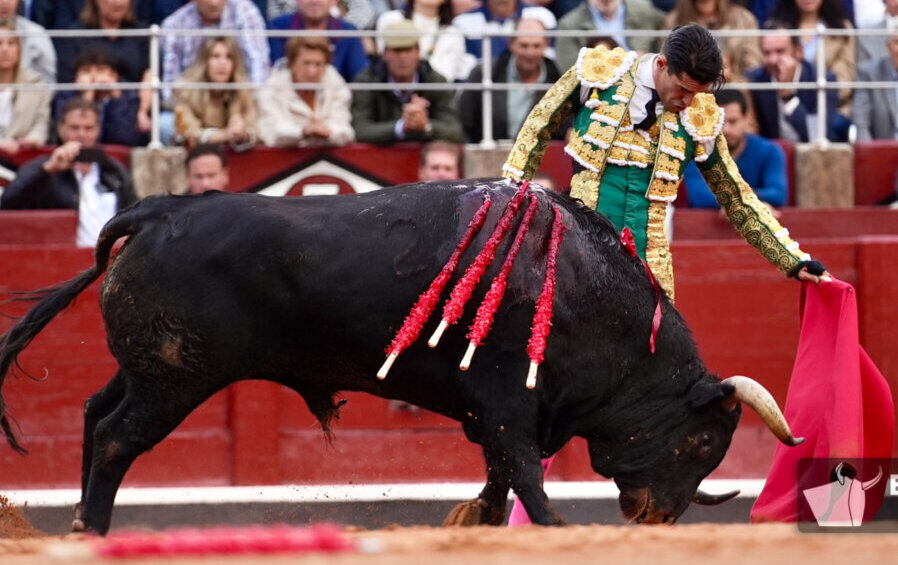 Talavante, premio a la mejor faena de la feria de Salamanca