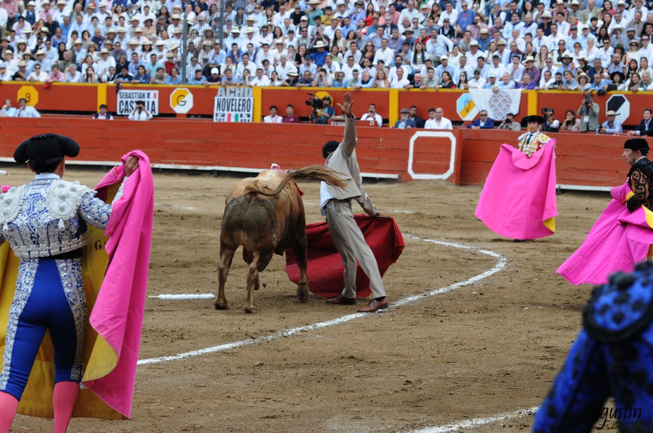 Un conocido novillero se lanza de espontáneo en Acho