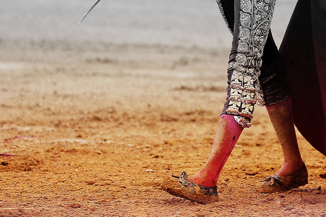 Estos son los festejos que va a televisar OneToro TV hasta final de año