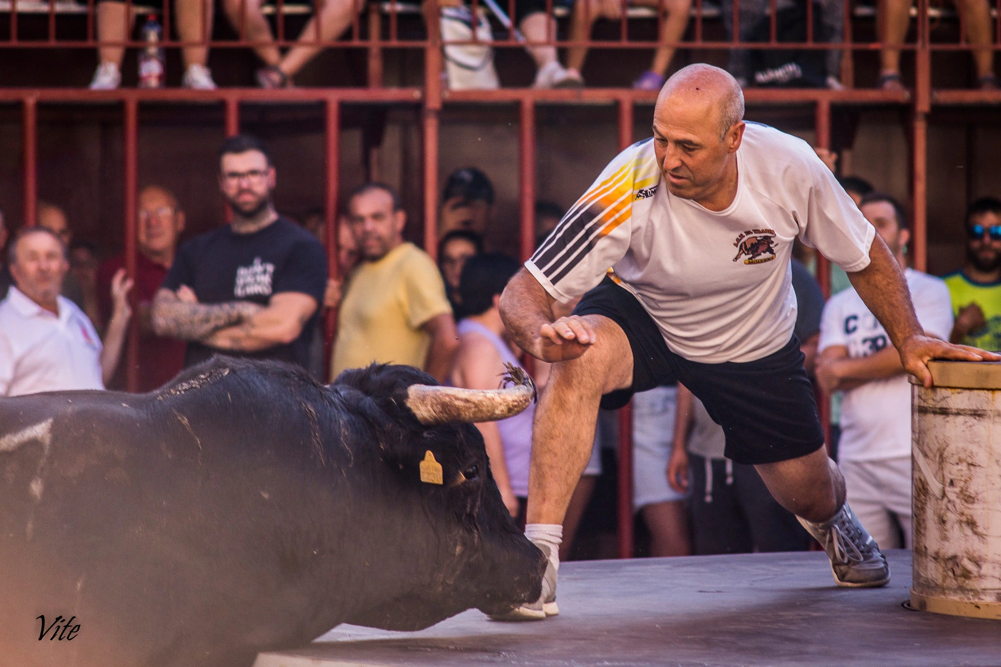 La pasión por el bou al carrer del recortador Pascual López, el operario que murió en el derrumbe del colegio de Massanassa