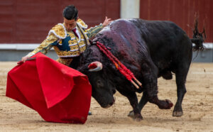 Foto: Alfredo Arévalo.