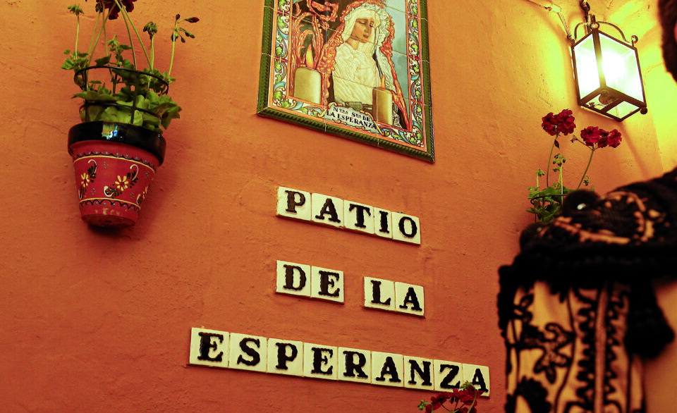 Buen año, buena cosecha