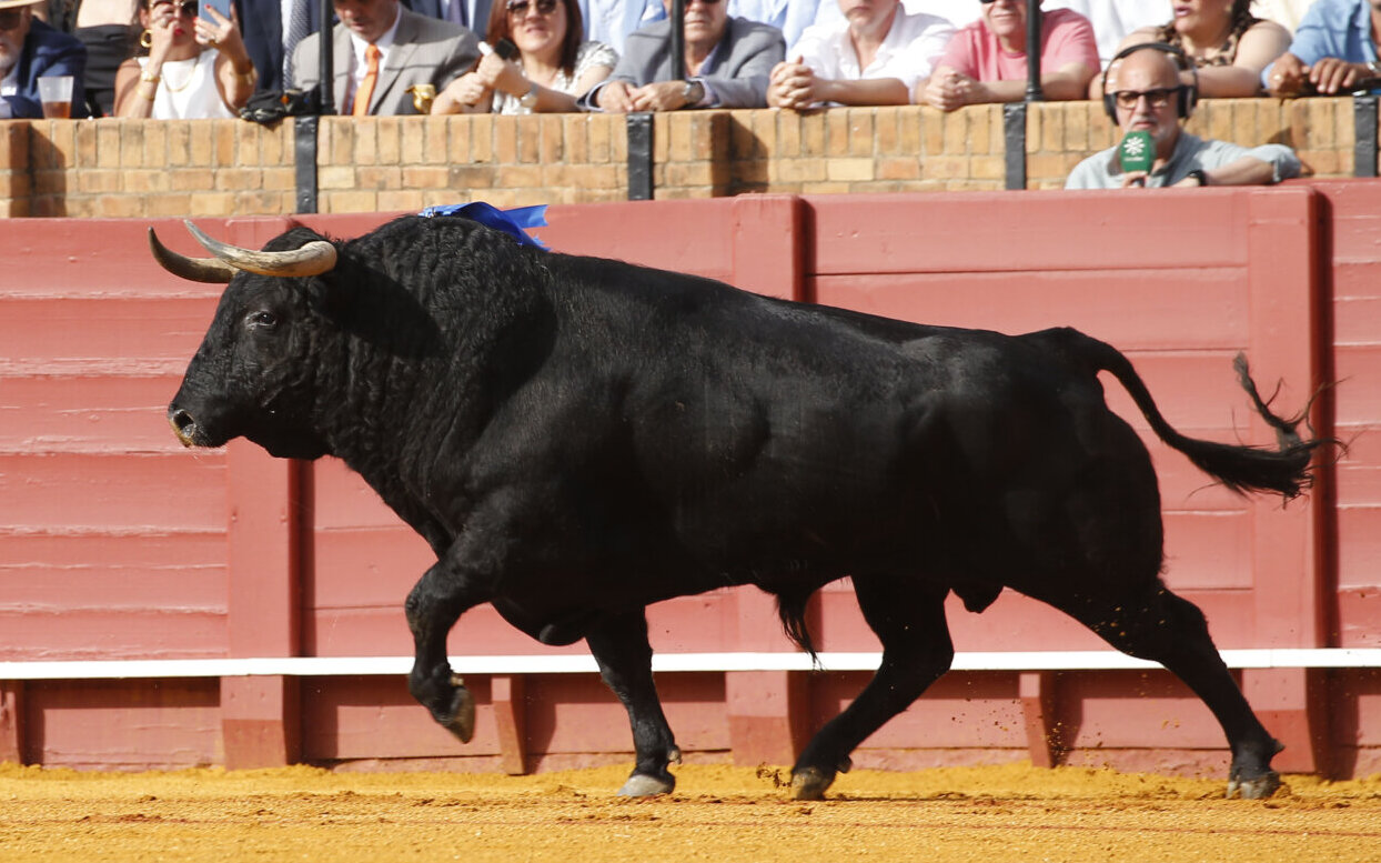 Dobletes de Victoriano del Río, Garcigrande y Núñez del Cuvillo en la temporada de Sevilla