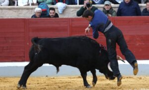 Foto: José Luis Cárdenas