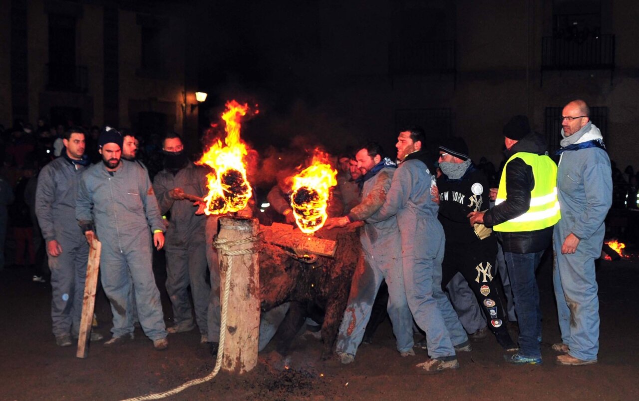 La defensa del Toro Jubilo de Medinaceli, esta tarde en Soria