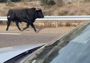 Foto: La Gaceta de Salamanca .