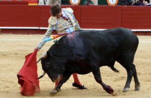 Zulueta regresa a las Fallas, donde impactó en 2014.