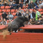 Foto: Eric Lugo / El Economista