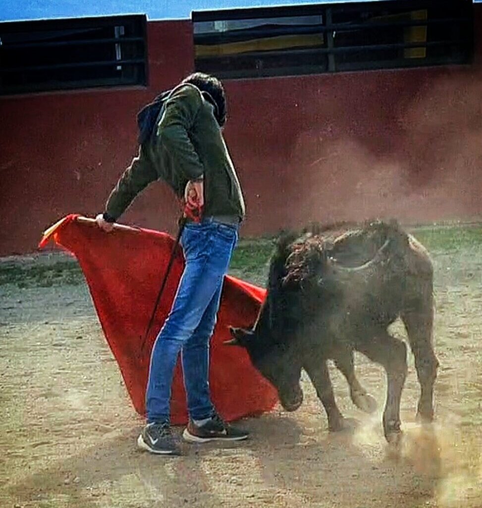 El mejor regalo de Reyes para Alberto Donaire: vuelve a torear