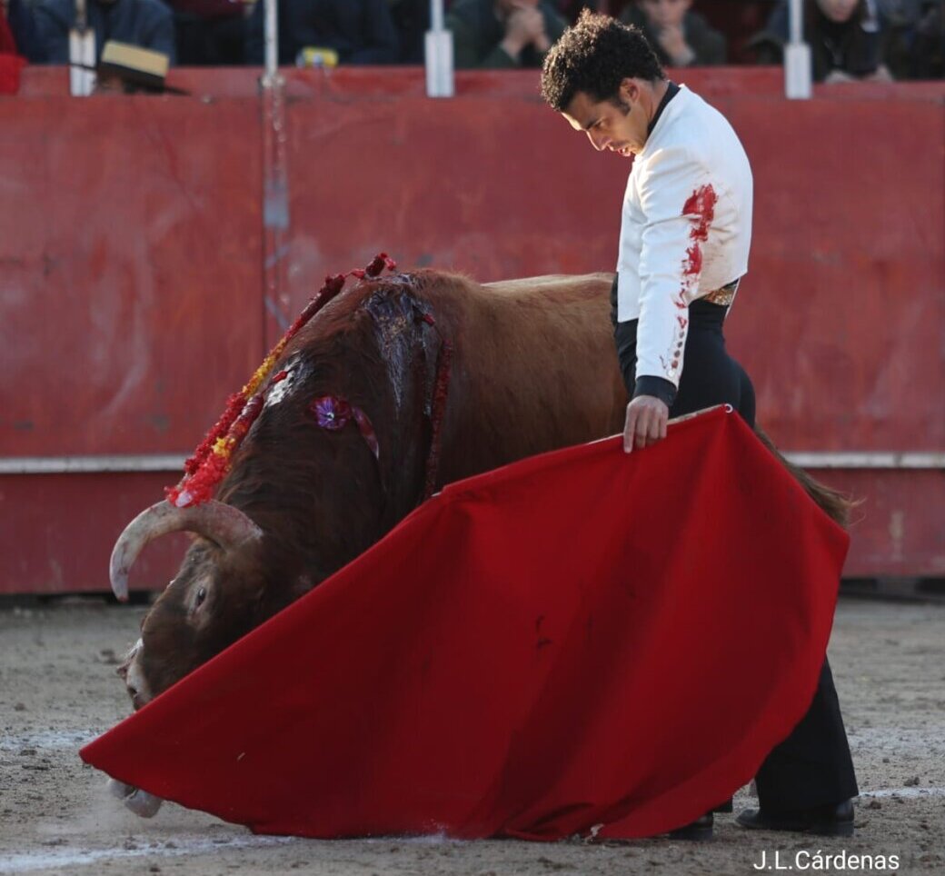 Recas vibra con su festival: nueve orejas y cuatro rabos