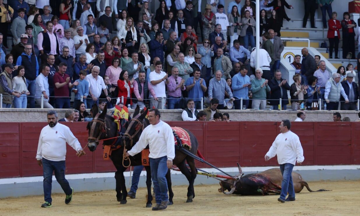 Villaseca de la Sagra acogerá un concurso de recortes con toros de Cebada Gago
