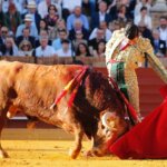 Morante, el pasado 1 de mayo en Sevilla. Foto: Arjona