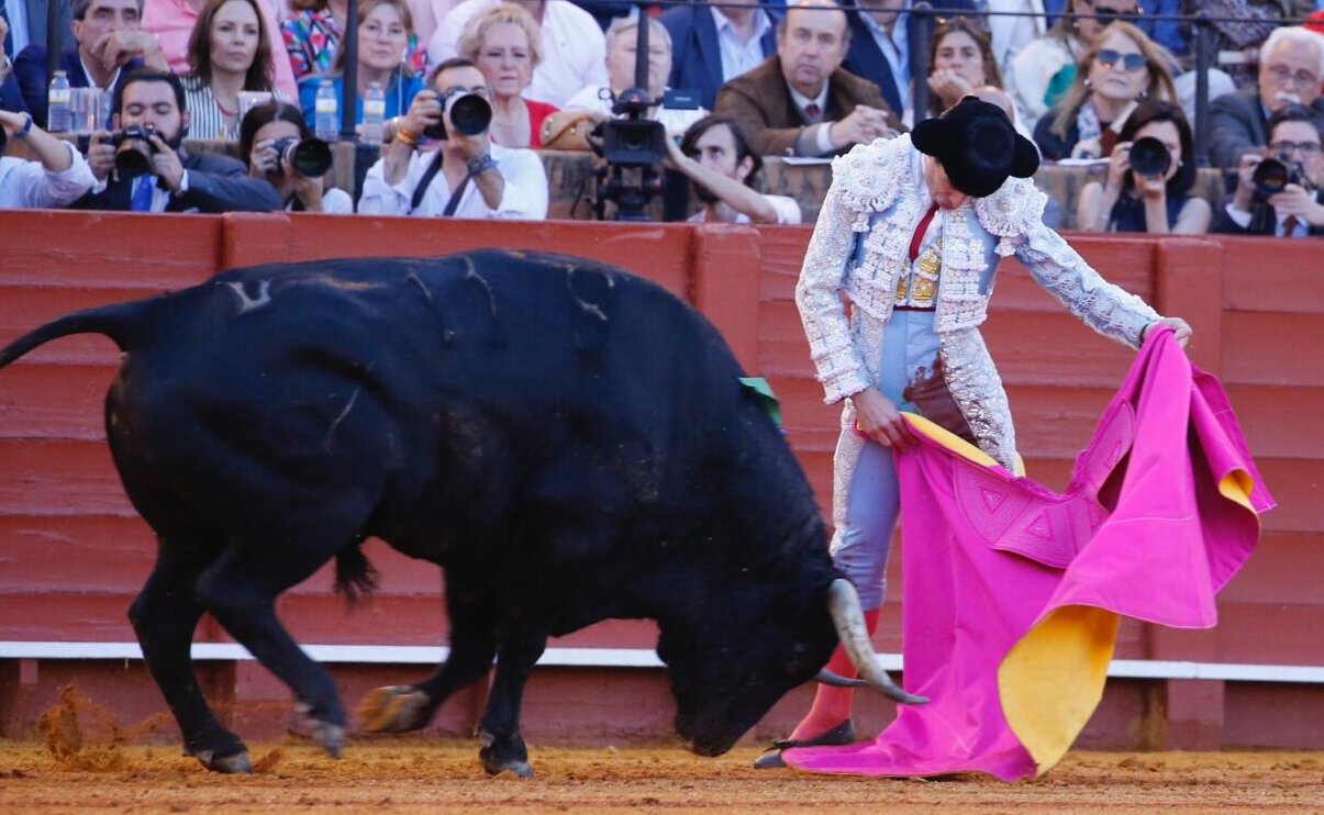 El arte nunca defrauda (apuntes de una tarde para el recuerdo en Sevilla)
