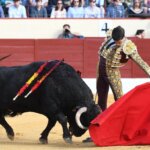Daniel Crespo, en Valdemoro, escenario de una de las novilladas del certamen.